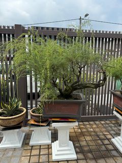 (Category: ) located in . Submitted by thedecodrop (Listing ID 1289506782, Image 1). Description: .