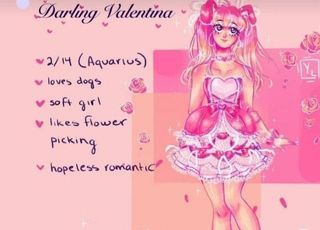 Darling Valentina set royale high roblox