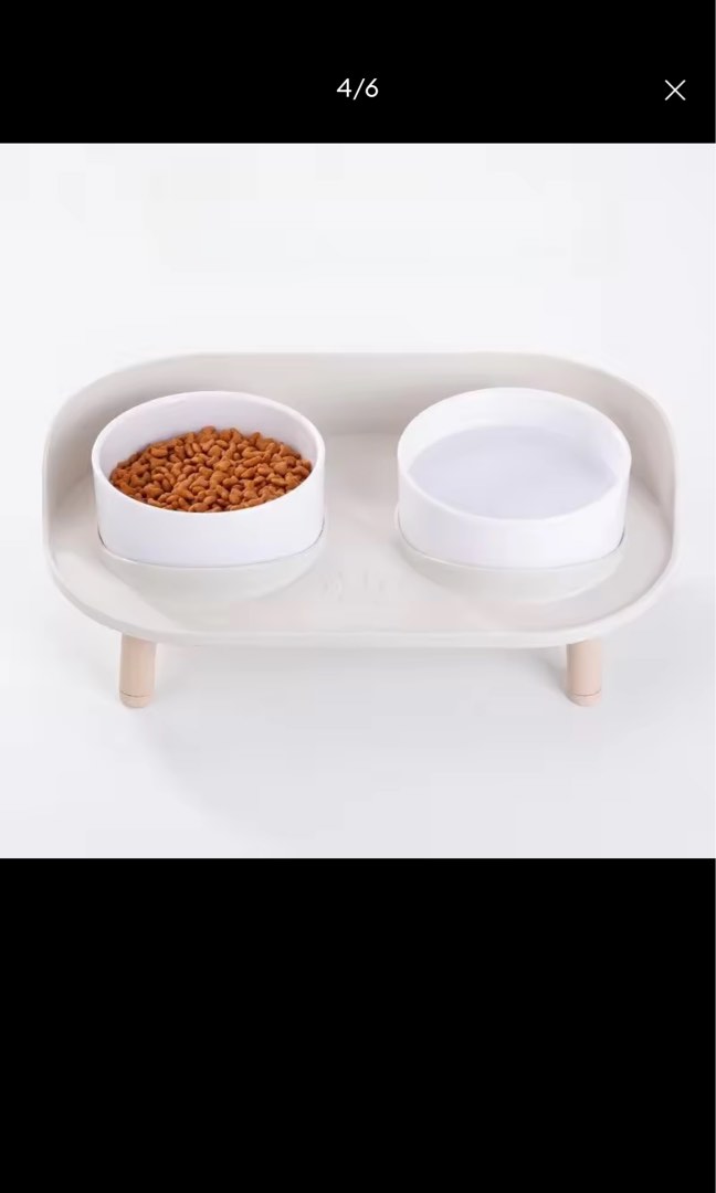 Elevated dog online food tray