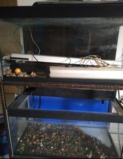 (Category: ) located in . Submitted by megmuffin (Listing ID 1289604170, Image 1). Description: .