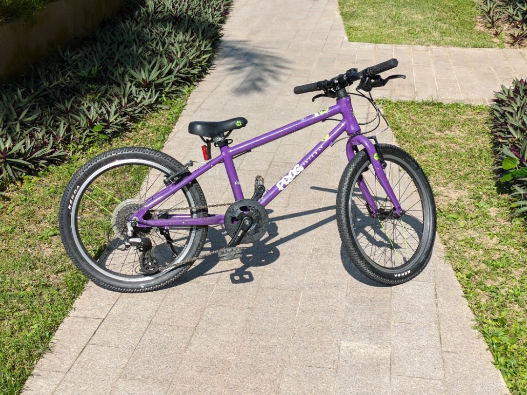 Frog cheap 55 purple