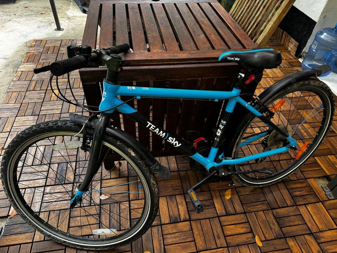 Frog 73 team sky sales