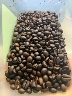 Dark Roast Robusta Coffee Beans (roasted mid-January)