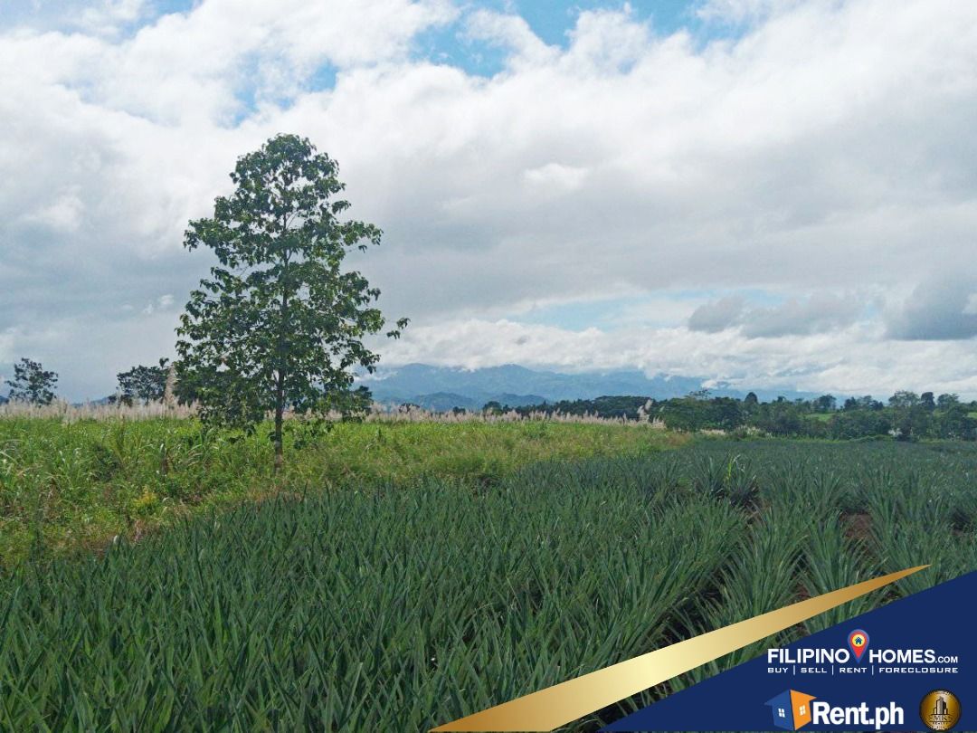 3.7 Hectares Prime Lot along Malaybalay, Bukidnon, Property, For Sale