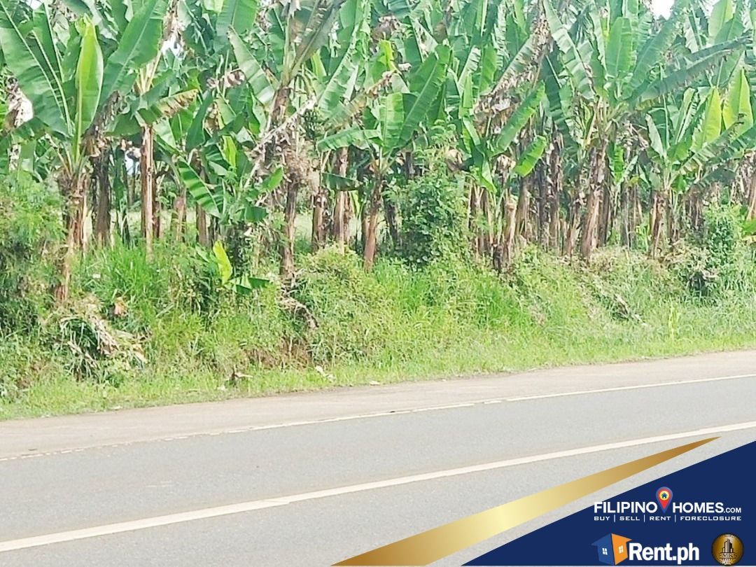 3.7 Hectares Prime Lot along Malaybalay, Bukidnon, Property, For Sale