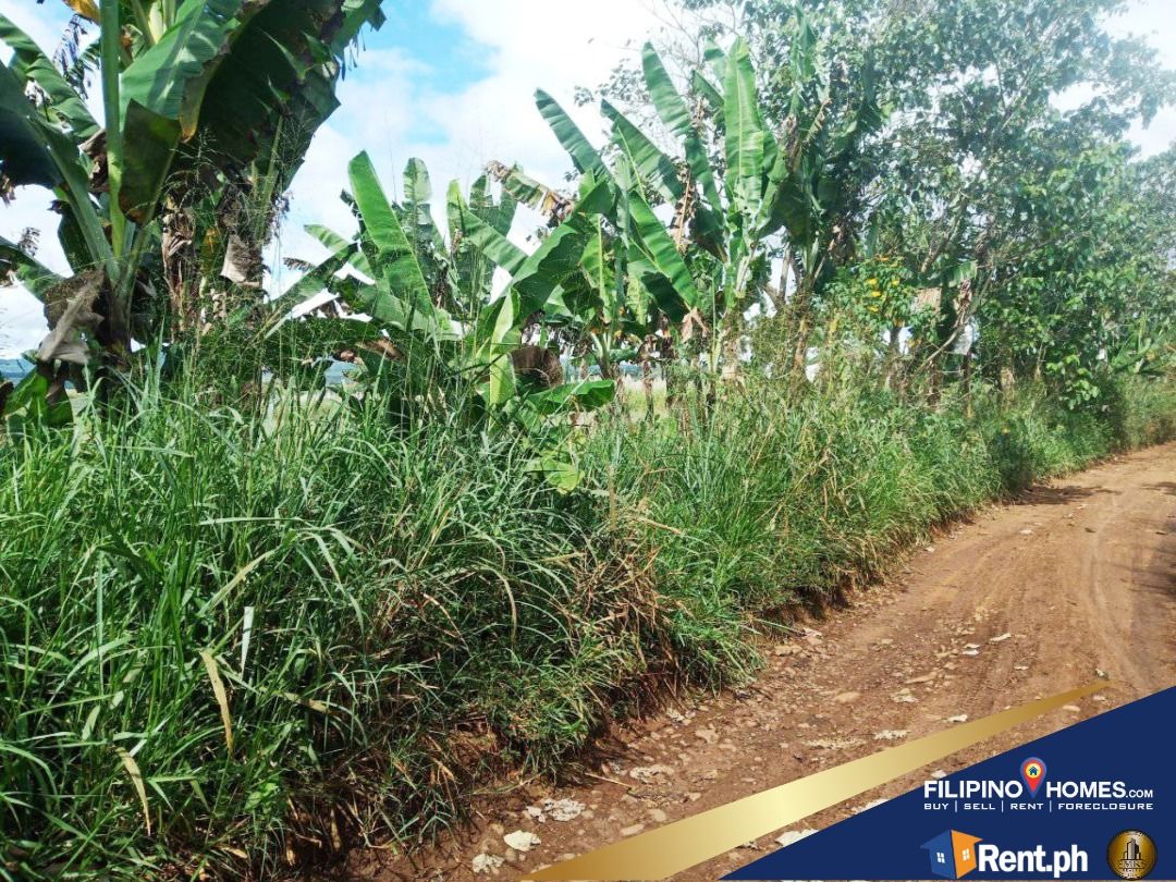 3.7 Hectares Prime Lot along Malaybalay, Bukidnon, Property, For Sale