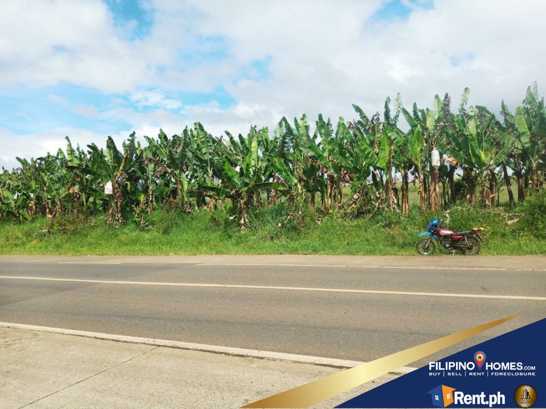 3.7 Hectares Prime Lot along Malaybalay, Bukidnon, Property, For Sale