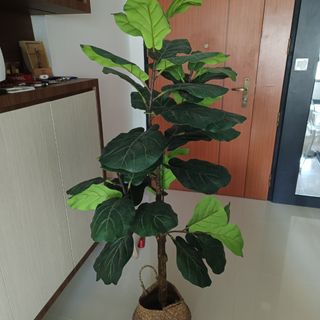 (Category: ) located in . Submitted by nizsf (Listing ID 1289770348, Image 1). Description: .