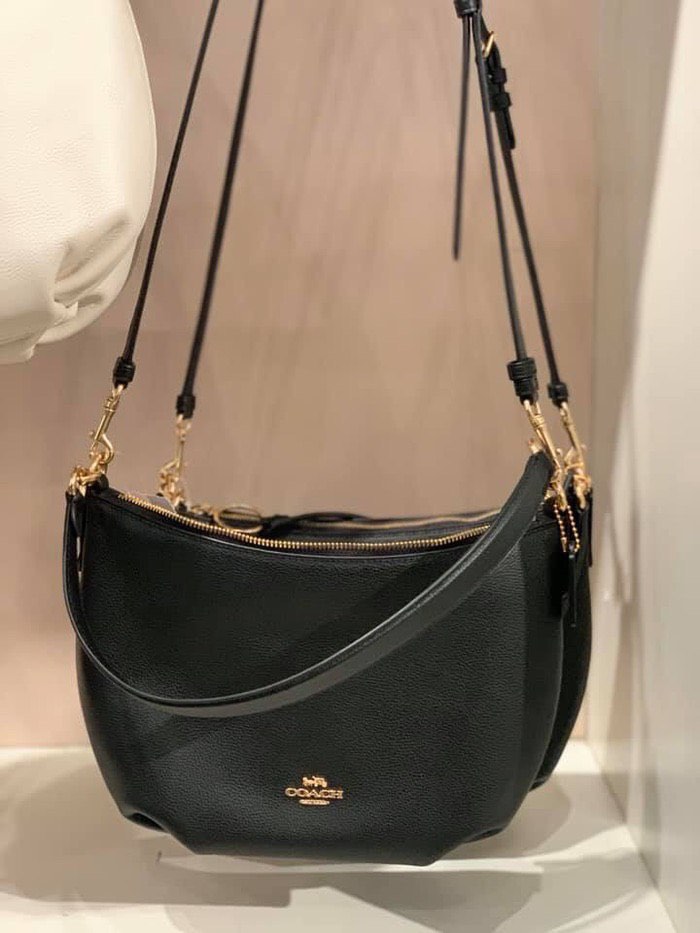 Coach small online skylar hobo bag