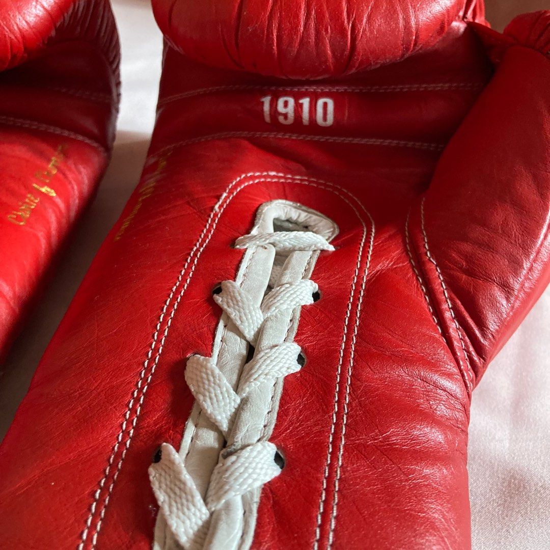 Everlast 1910 Pro Fight Boxing Gloves 8oz, Sports Equipment, Sports