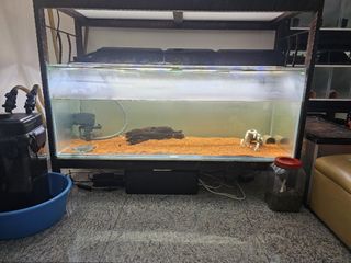 Stores that buy hotsell used fish tanks