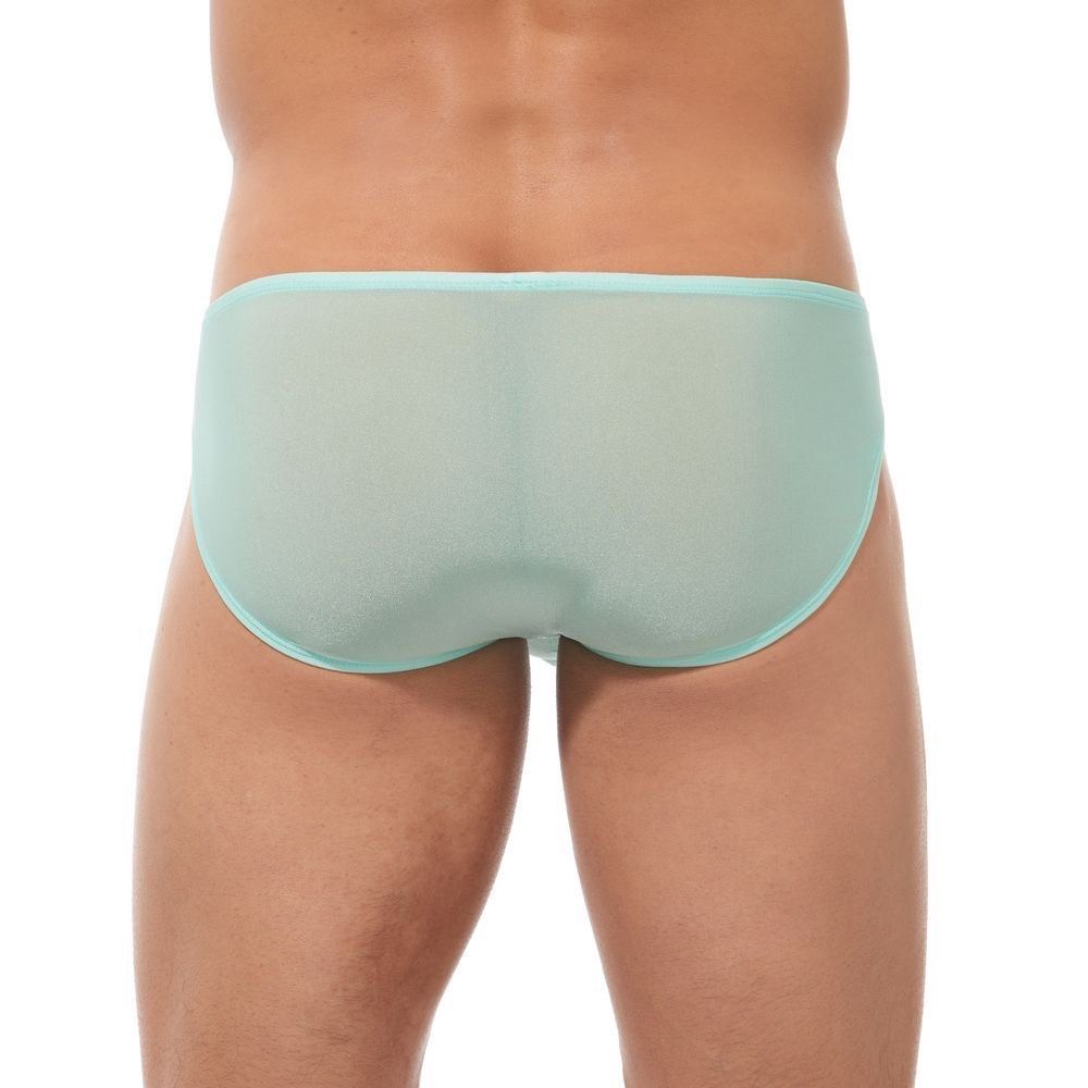 TORRIDZ Briefs