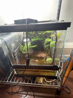 (Category: ) located in . Submitted by harryhr (Listing ID 1289779061, Image 1). Description: .