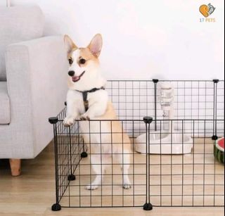 Olx philippines dogs sales
