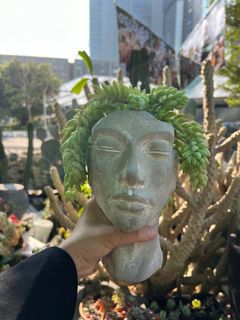 （分類：）位於 。 由 florlaw 提交（商品編號 1290022949，圖片 1）。簡介： 。