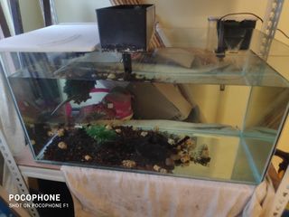 (Category: ) located in . Submitted by tkanyeun2424782 (Listing ID 1290026500, Image 1). Description: .