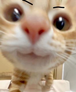 （分類：）位於 。 由 wyt818 提交（商品編號 1289991744，圖片 1）。簡介： 。