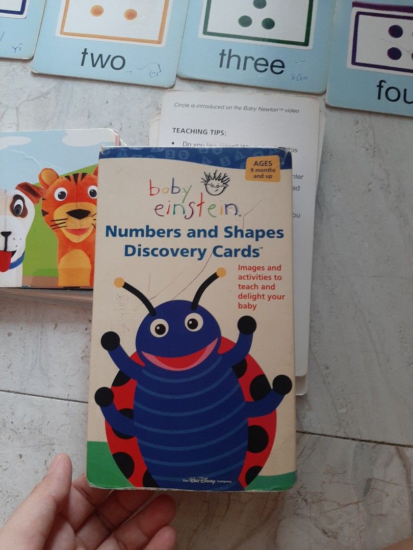 Flashcard baby einstein numbers and shapes buku alat tulis buku