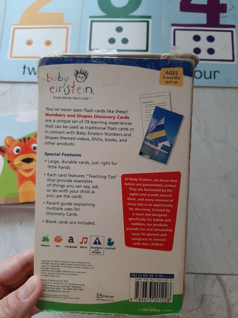Flashcard baby einstein numbers and shapes buku alat tulis buku