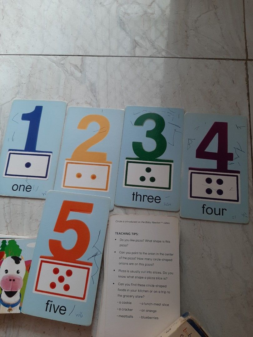 Flashcard baby einstein numbers and shapes buku alat tulis buku