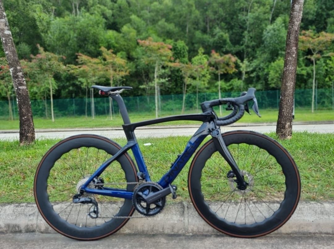 Pinarello dogma fs sales