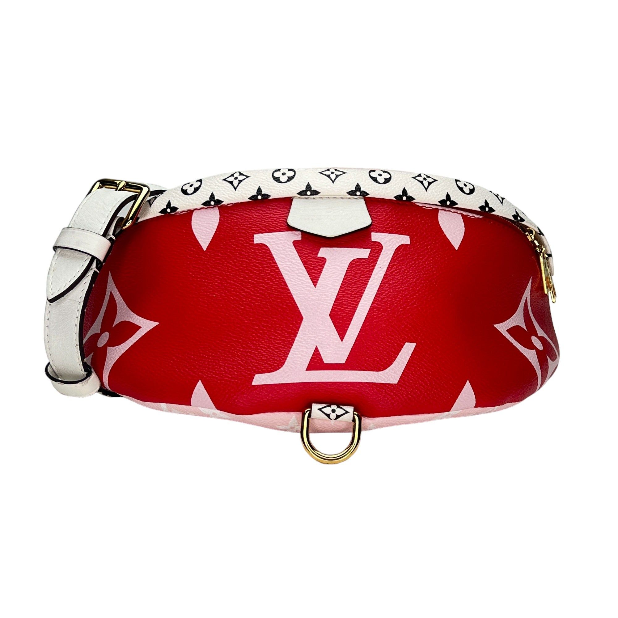 Louis Vuitton Belt Bag Belt bag