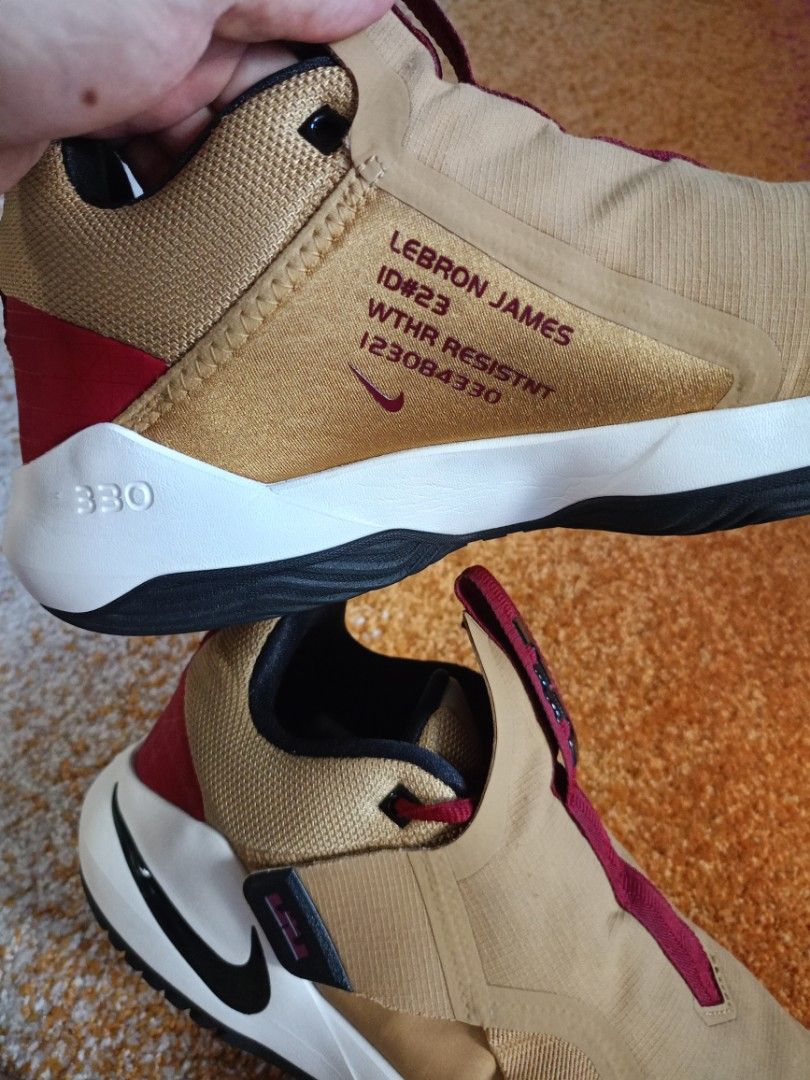 Lebron james shop ambassador x
