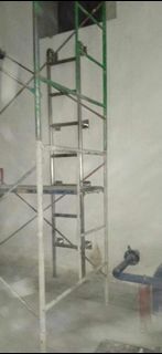Stainless ladder rung