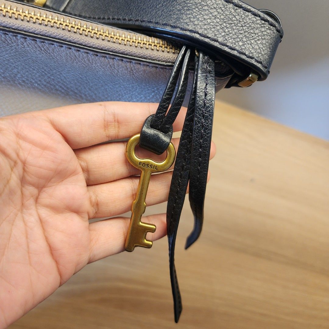 Charlotte hobo fossil online