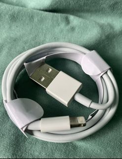 Usb c  to lightning cable