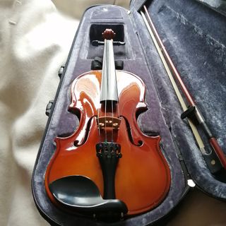 4/4 Acro Brasil violin bow, 興趣及遊戲, 音樂、樂器& 配件, 樂器- Carousell