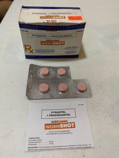 Deworming Chewable Tablet Wormshot by Nutrichunks
