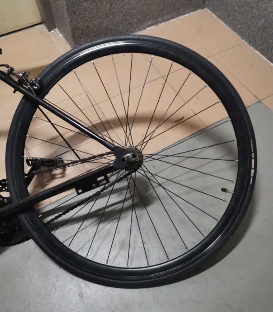 Ws fixie 2025