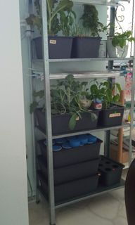 (Category: ) located in . Submitted by nsew1234 (Listing ID 1290223909, Image 1). Description: .