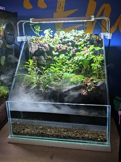 (Category: ) located in . Submitted by Fortune_Green_Design (Listing ID 1290226883, Image 1). Description: .
