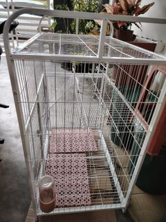 2nd hand cat sales cage for sale