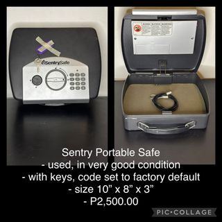 Sentry Portable Safe
