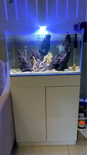 (Category: ) located in . Submitted by ayyymer (Listing ID 1290426257, Image 1). Description: .