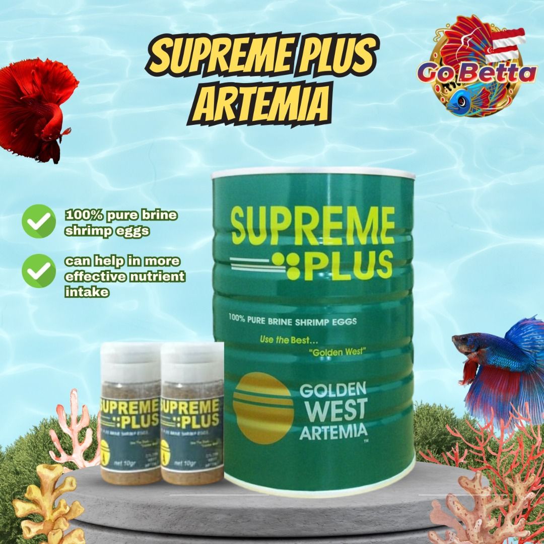 Betta artemia sales