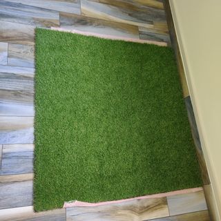 (Category: ) located in . Submitted by tortoise18 (Listing ID 1290291887, Image 1). Description: .
