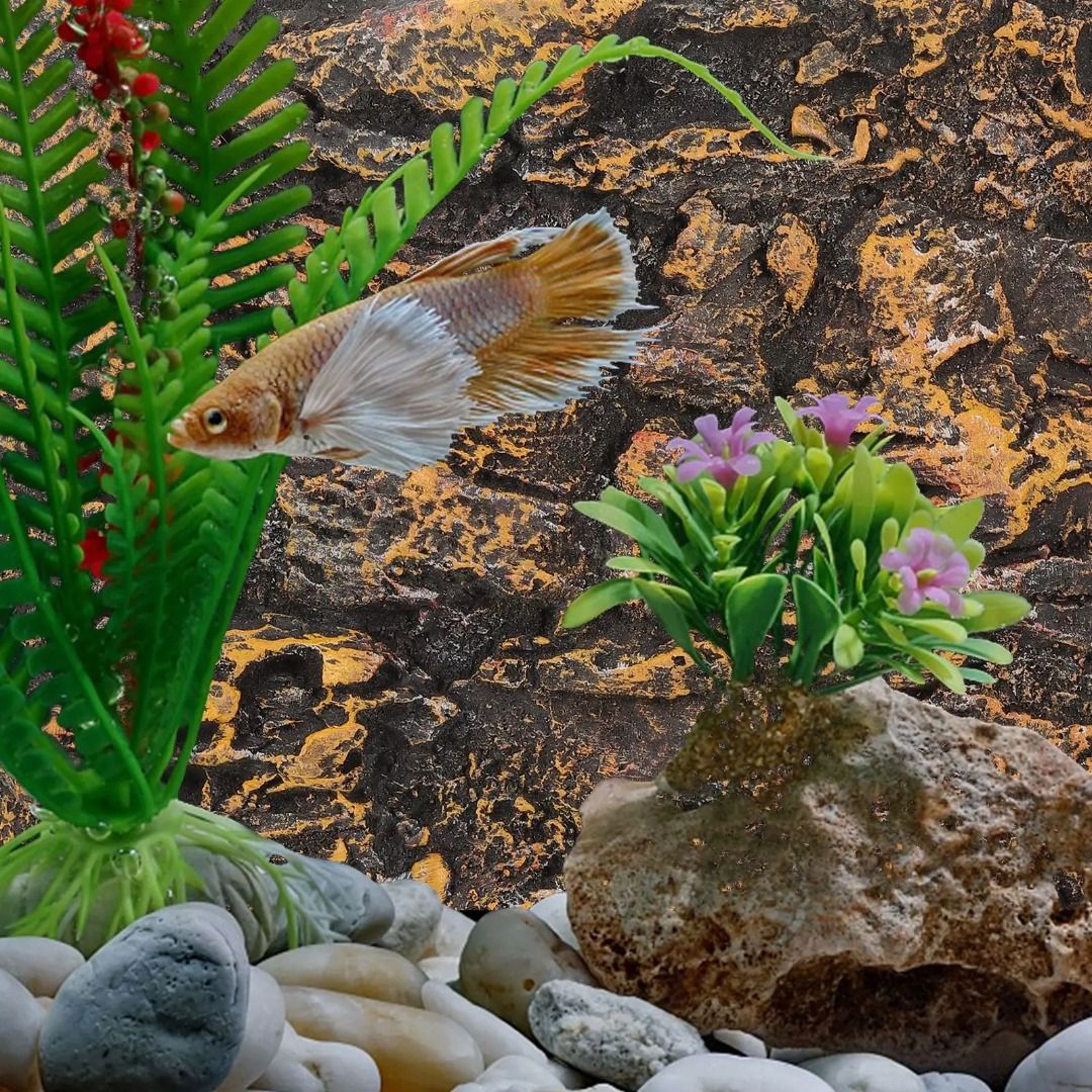 Rock Mountain Reptile Tank Background Tropical Joshua Trees Desert