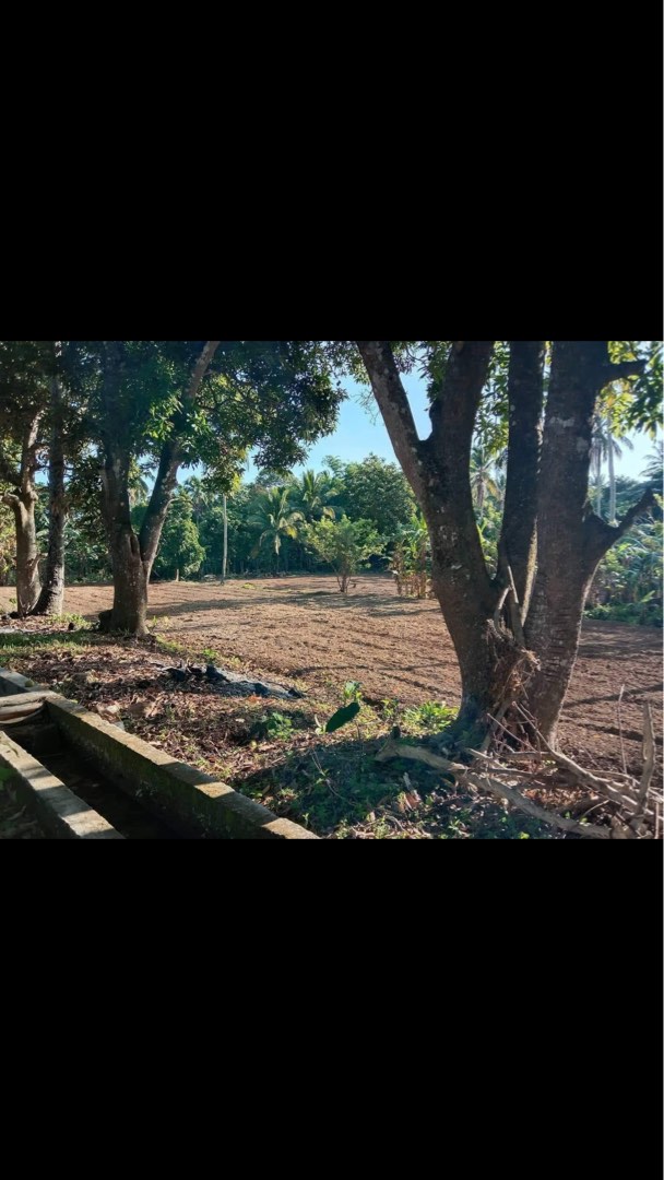 Commercial ,Farm or Residential lot For Sale near Alfonso Tagaytay