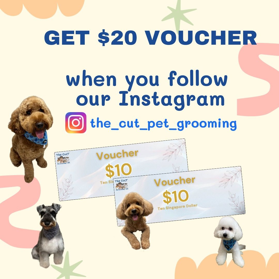 5 star pet grooming cheap near me