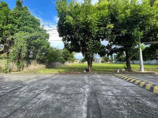 FOR SALE: 450 SQM. Lot in Essel Park Subdivision besides SM City Telabastagan