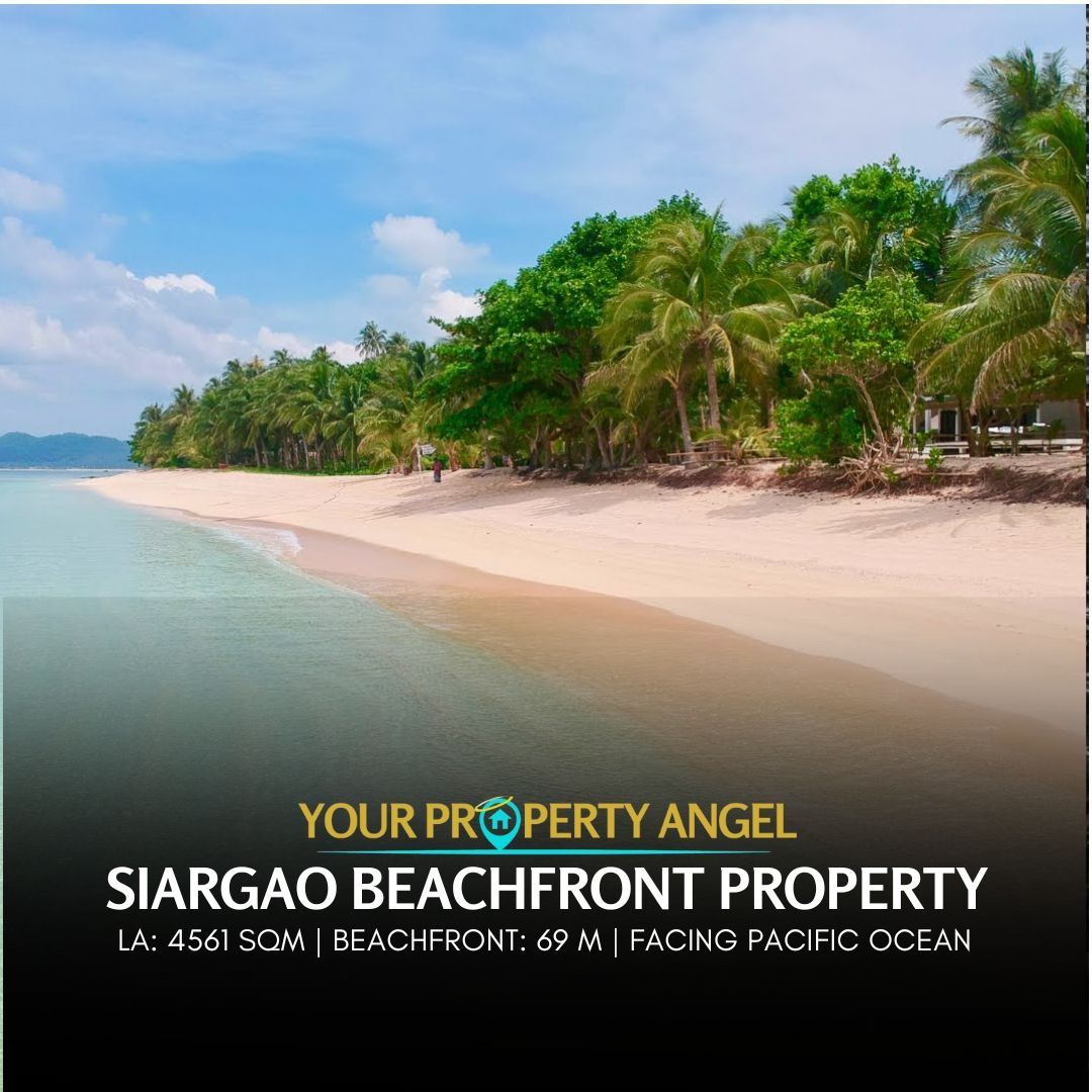 Siargao Beachfront Property Buy Now! (Category: Lot) located in Quezon City. Submitted by yourpropertyangel_jon (Listing ID 1233950715, Image 1). Description: FOR SALE! Beach Front in Alegria Santa Monica Siargao Lot area: 4,561 sqm Frontage: 69 meters Facing the Pacific Ocean Selling Price: ₱25K/ sqm. or ₱114,025,000.00 - Quiet and serene area in Siargao - Wide beach front - 1 hour away from Cloud 9 General Luna Alegria Beach might just be one o