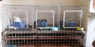 Small Animals Cage (60x20x20in)