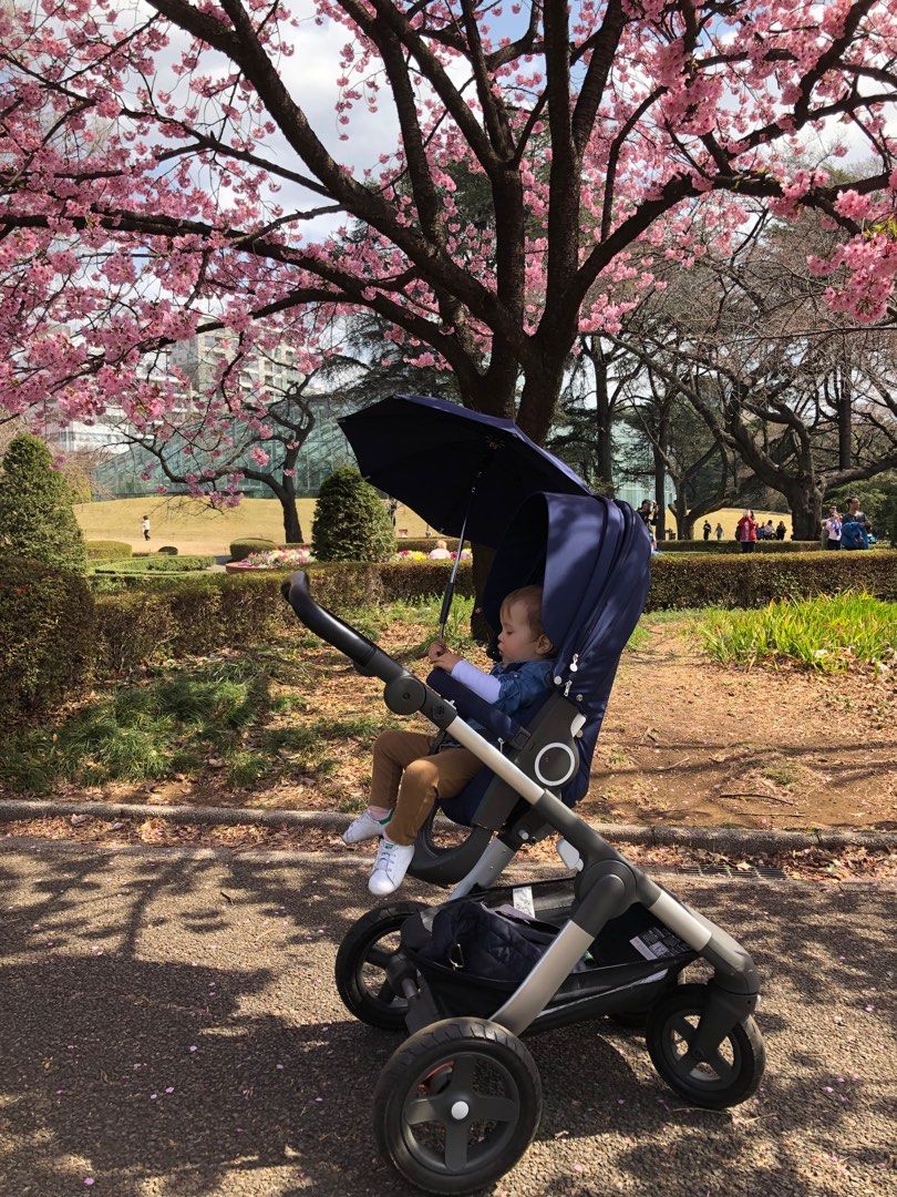 Stokke Trailz Stroller Babies Kids Going Out Strollers on