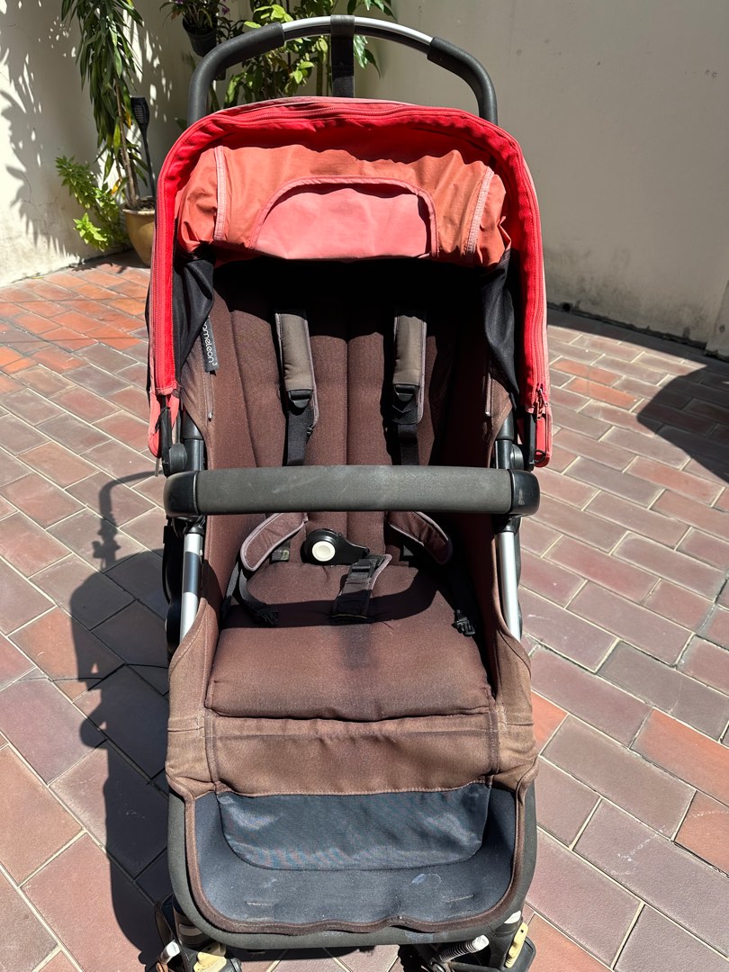 Cameleon buggy clearance