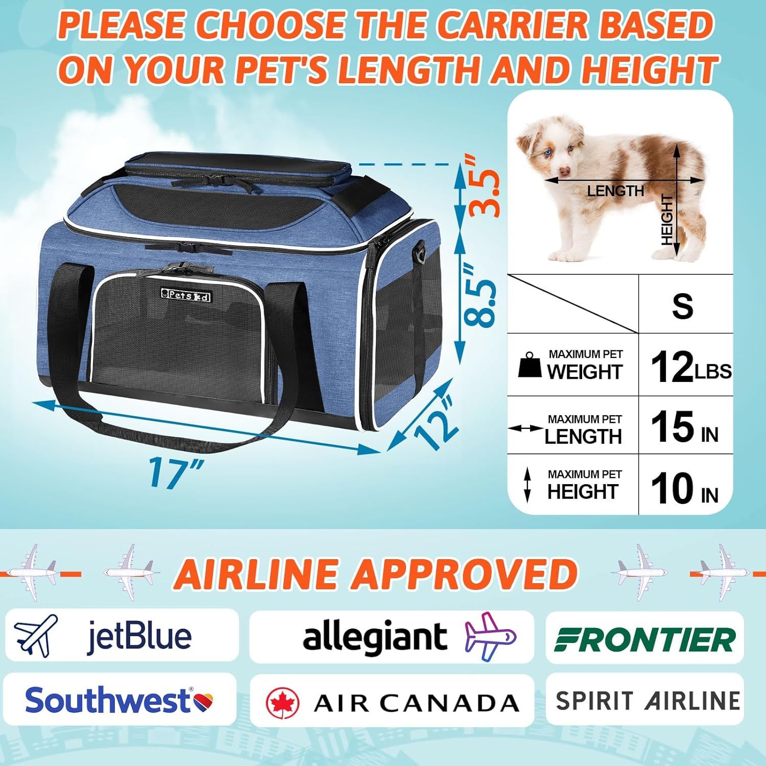 Allegiant traveling sale with pets