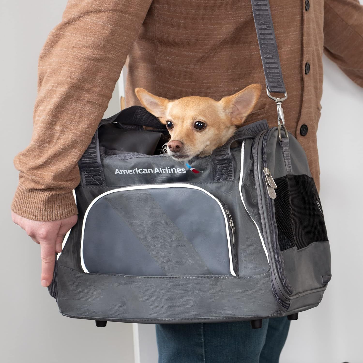 American airlines pet shipping phone number discount
